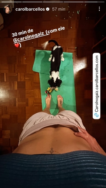 Carol Barcellos