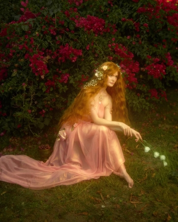 Avalon Warren
