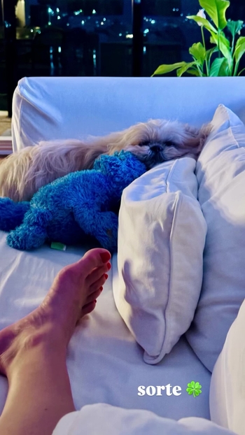 Juliana Silveira (I)