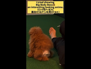  alt="Kanako Urai"