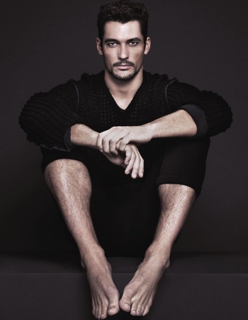 David Gandy