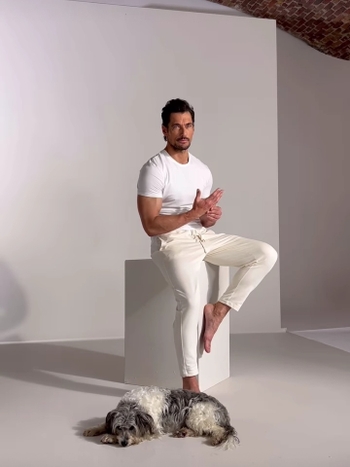 David Gandy