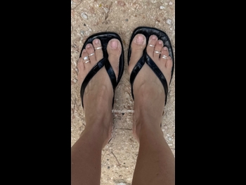  alt="Maya Stepper"