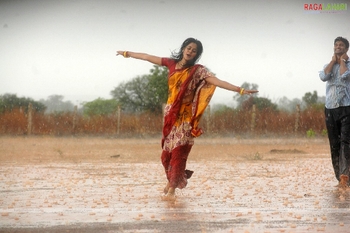 Bindhu Madhavi