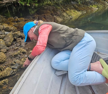 Valentina Shevchenko