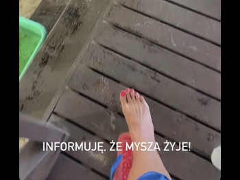  alt="Agnieszka Kolodziejska"