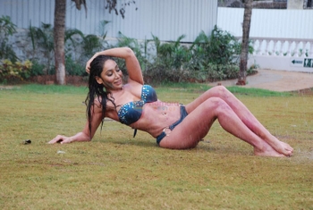 Sofia Hayat