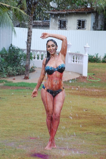 Sofia Hayat