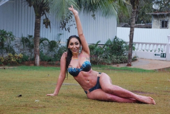 Sofia Hayat