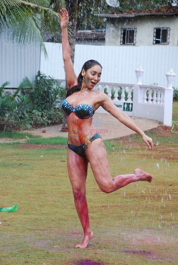 Sofia Hayat