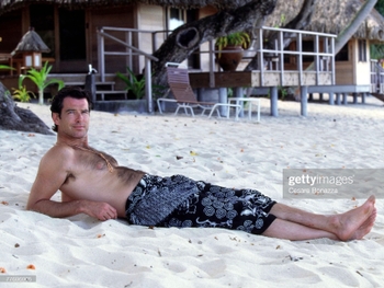 Pierce Brosnan