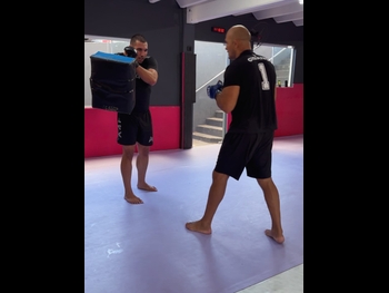  alt="Junior Dos Santos"