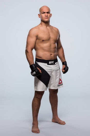 Junior Dos Santos