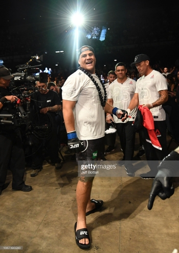 Junior Dos Santos