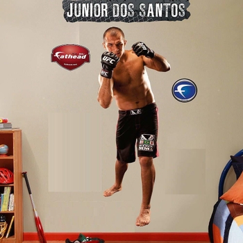 Junior Dos Santos