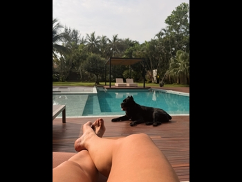  alt="Paolla Oliveira"