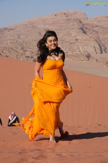 Hansika Motwani