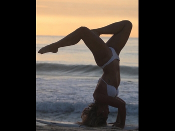  alt="Danni Suzuki"