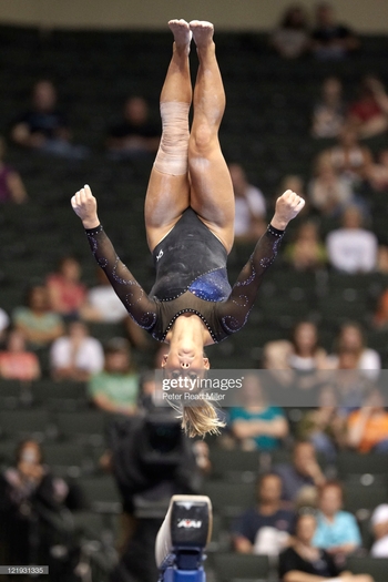 Shawn Johnson (VII)