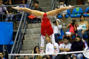 Shawn Johnson (VII)