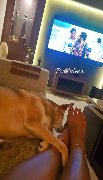 Kaniha