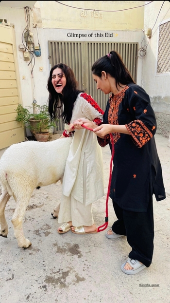 Hina Afridi