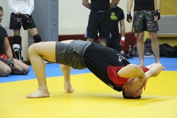 Mirko Cro Cop Filipovic