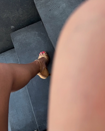 Rosa Di Grazia