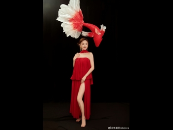  alt="Rebecca Zhu"