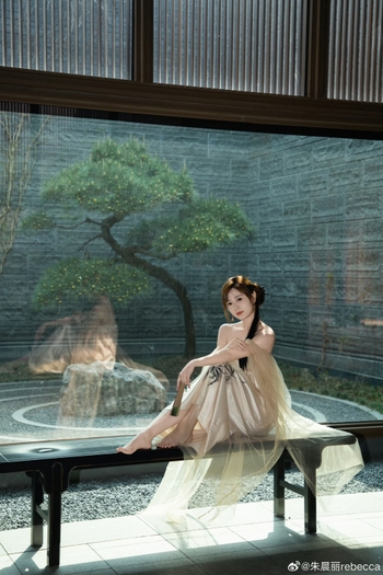 Rebecca Zhu