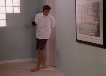 Brian Austin Green