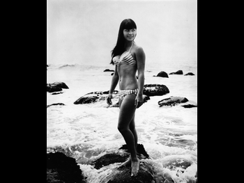  alt="Wende Wagner"