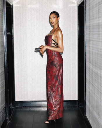 Jourdan Dunn