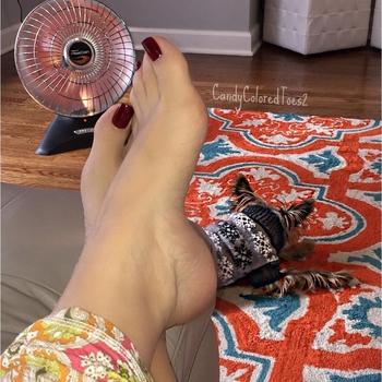 Candy Coloredtoes