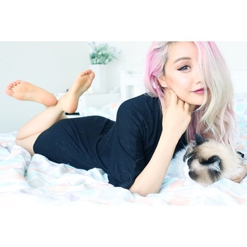 Wengie