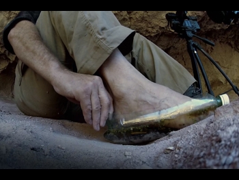  alt="Les Stroud"