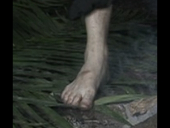  alt="Les Stroud"