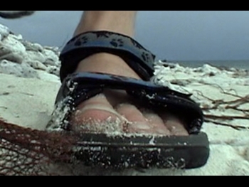  alt="Les Stroud"