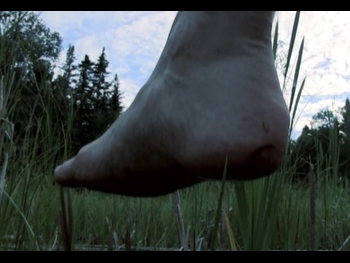  alt="Les Stroud"