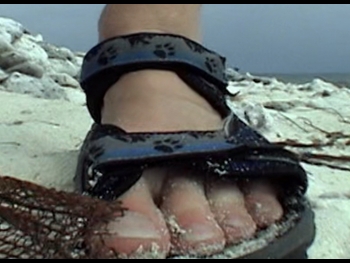 alt="Les Stroud"