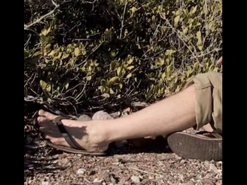  alt="Les Stroud"