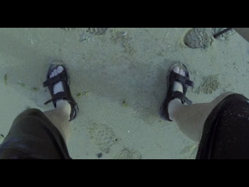  alt="Les Stroud"