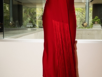 Mariana Paola Vicente