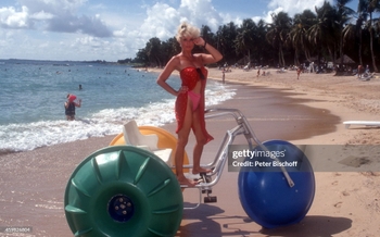Ingrid Steeger