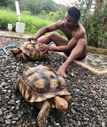 Buakaw Banchamek