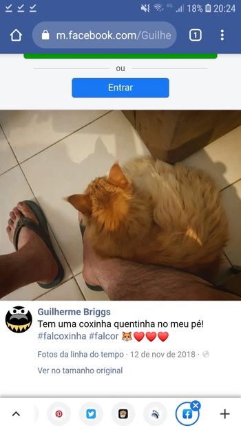 Guilherme Briggs