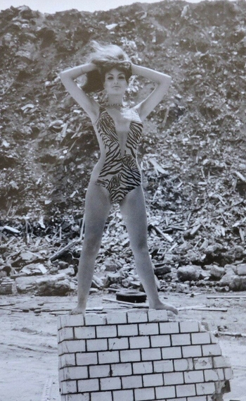 Janet Shapiro
