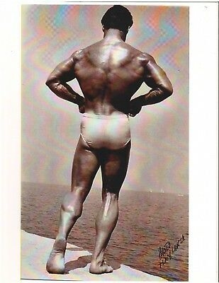 Steve Reeves