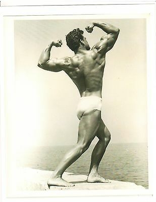 Steve Reeves