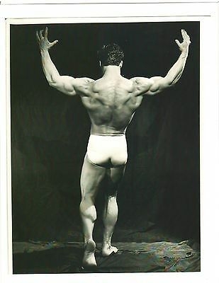 Steve Reeves